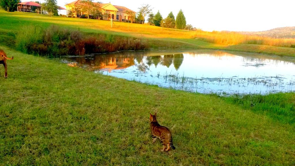 River Crossing Champagne Valley المظهر الخارجي الصورة